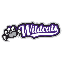 weber-state-wildcats-wordmark-logo-2012-present